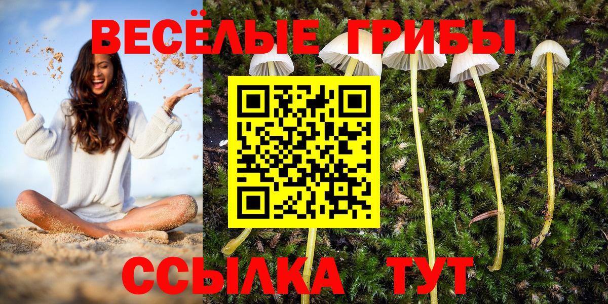 Псилоцибиновые грибы прущие грибы Касимов